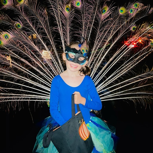 Handmade Peacock Costume Tulle Tutu Skirt and Fascinator – Girls Size 7 Dress-Up - Picture 7 of 11